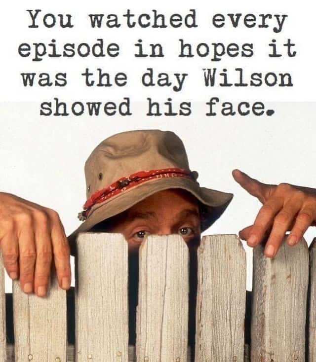 'Wilson' from 'Home Improvement'