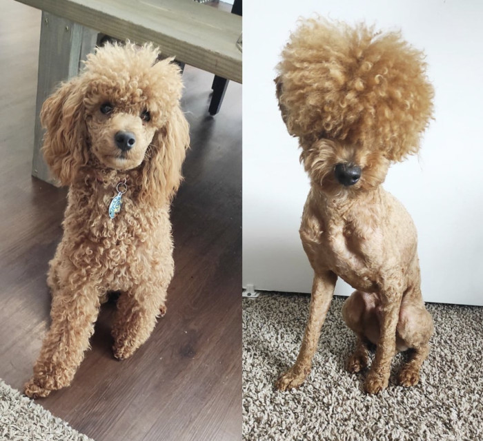 23. Tina Turner would be proud.