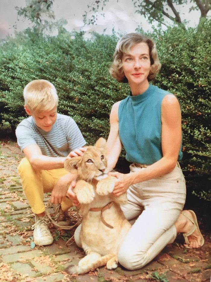 28. “My dad and his veterinarian mother, with their pet lion which they raised for two years, 1959.”