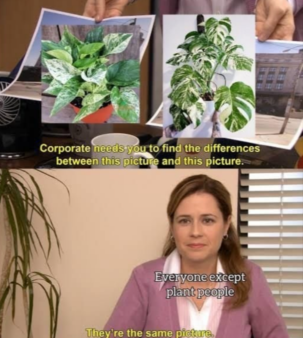 11. They are NOT the same!