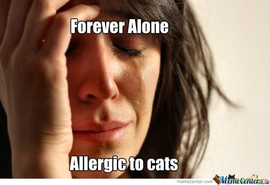 Now this is my worst nightmare because without cats, we have no one.