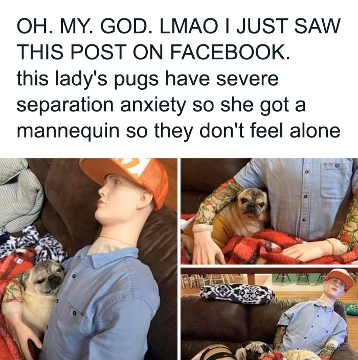 28. You're never alone, my doggo