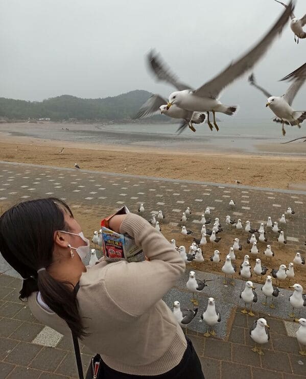 28. “My Girlfriend Opening A Snack Next To Seagulls”