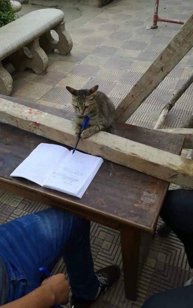 12. What Are You Doing There, Santa?