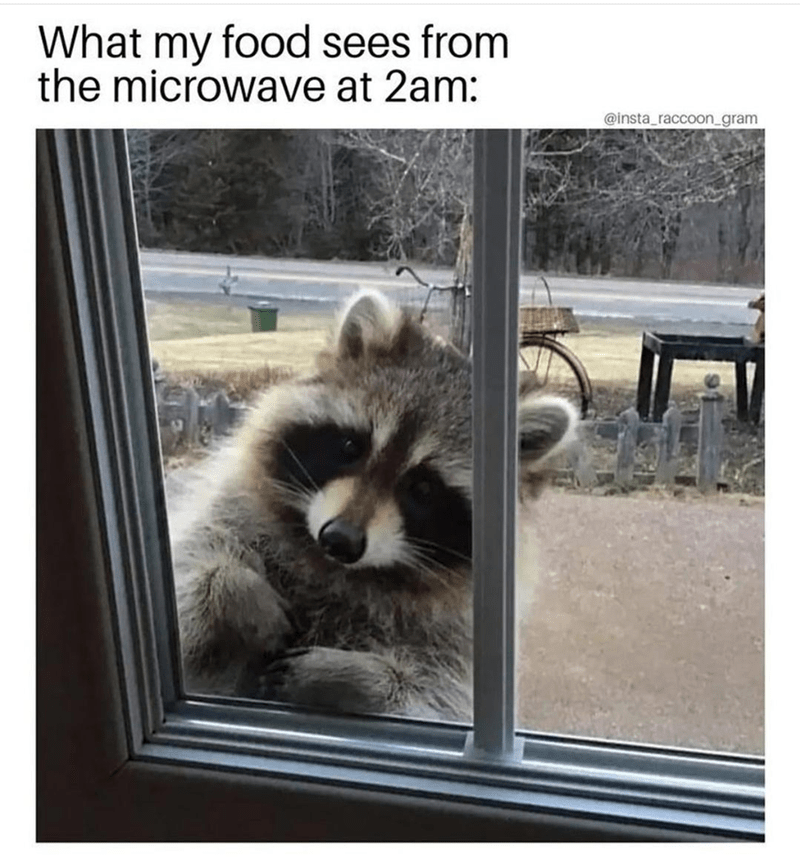 10. Lol... That Is Funny