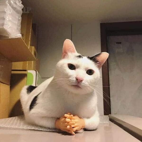 "Let’s talk about your future at this company."