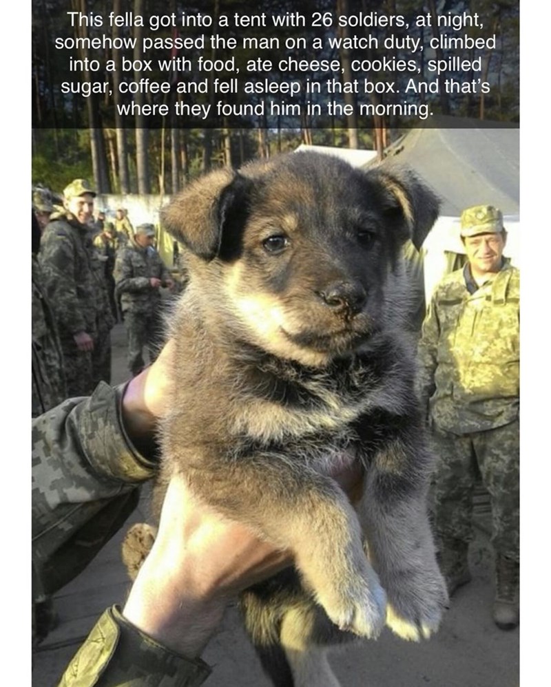 18. Guilty as charged