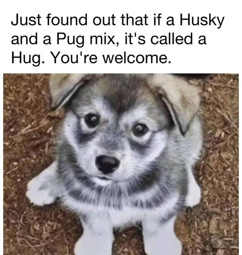 17. Such an adorable hug