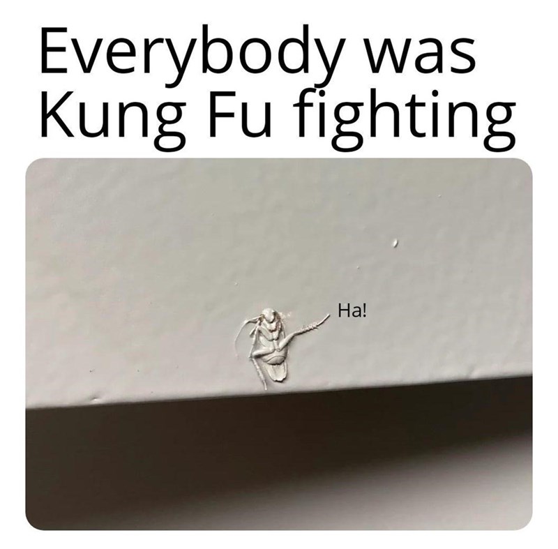 38. And It Died Fighting