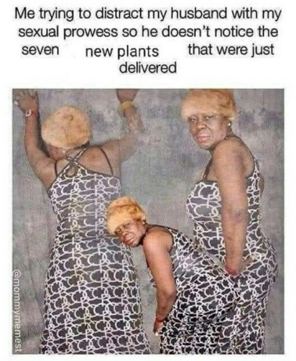 33. Nothing to see here.