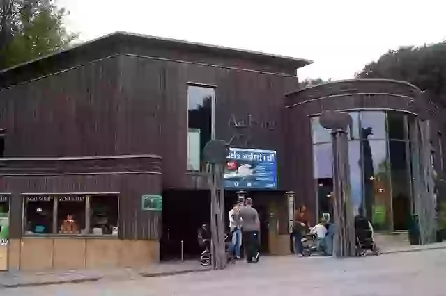 In its statement, Aalborg Zoo explained, 