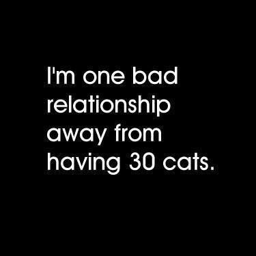 Sounds about right. I know some people who are in this exact situation, but they might just be better off with the cats.