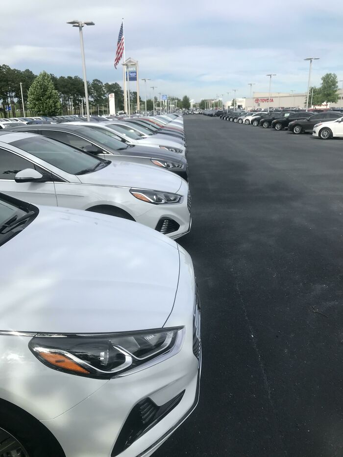 "This Line of Cars"