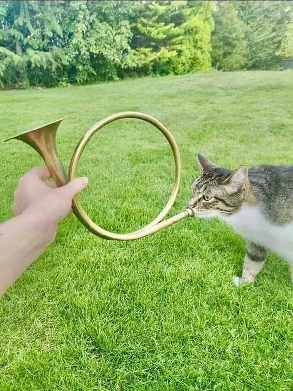 "The Horn of Valere."