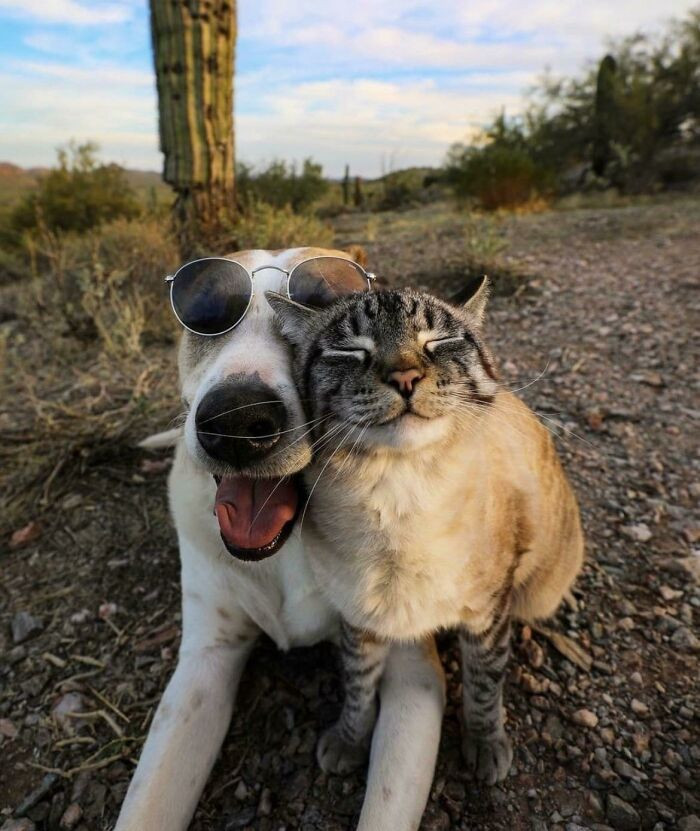 14. This one wins selfie of the day, no contest