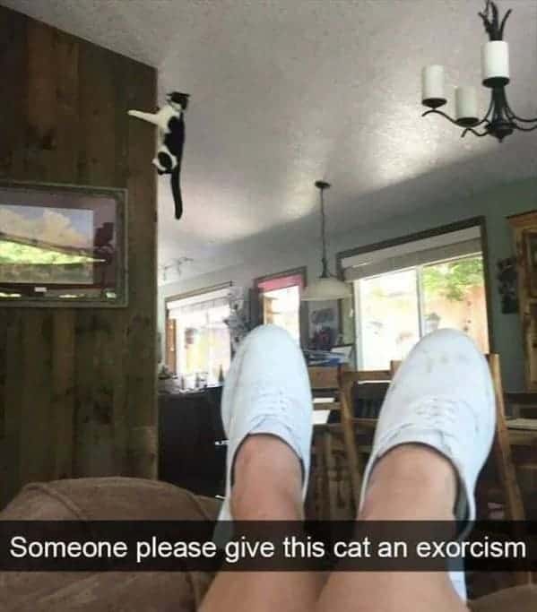 46. As soon as possible