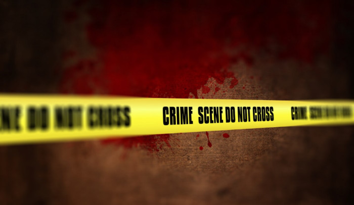 Crime and True Story Movies