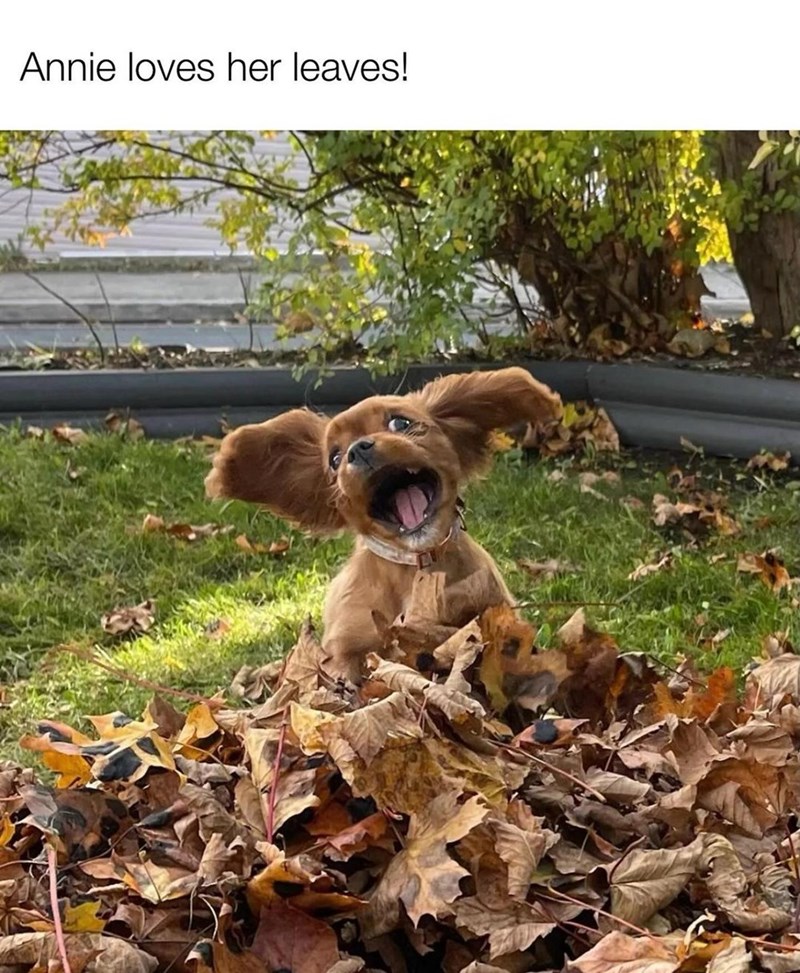 15. It's the happiness for me