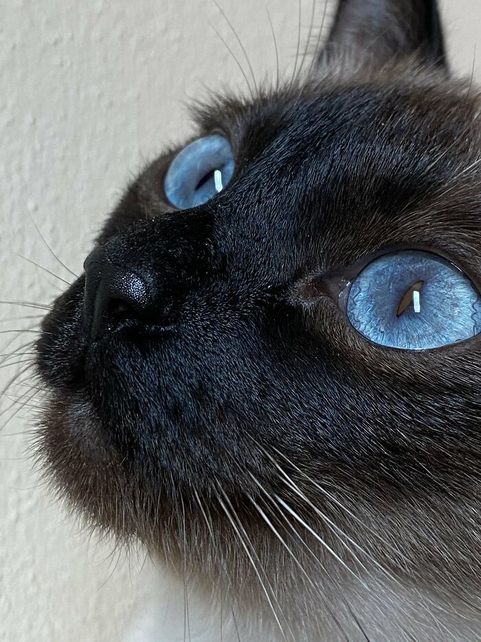 14. There's a suggestion that Z's ocean eyes fit right in here.