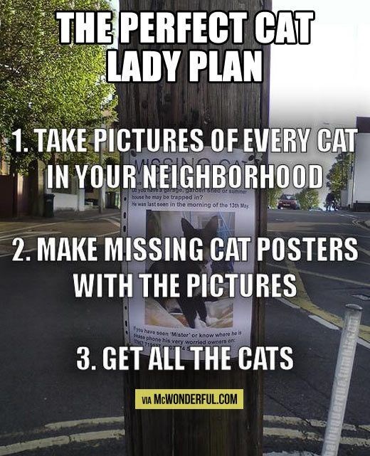 Now this is one way to get all the cats you are looking for as a crazy cat lady in the neighborhood. At least they'll all be taken care of.