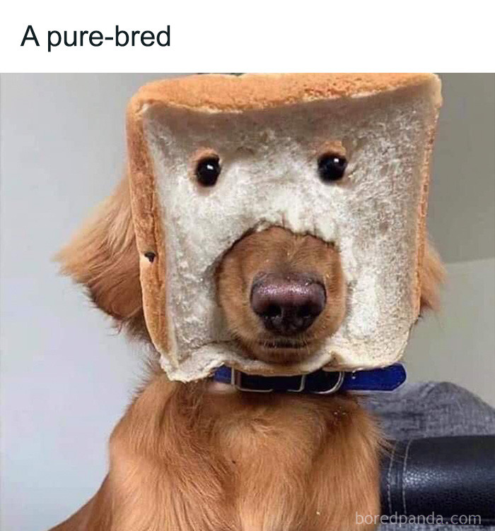 16. That is the literal version