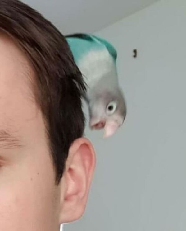 40. “Seconds Before Disaster”