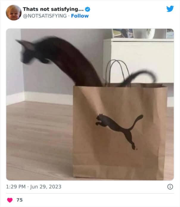 "At last, it has come true. "