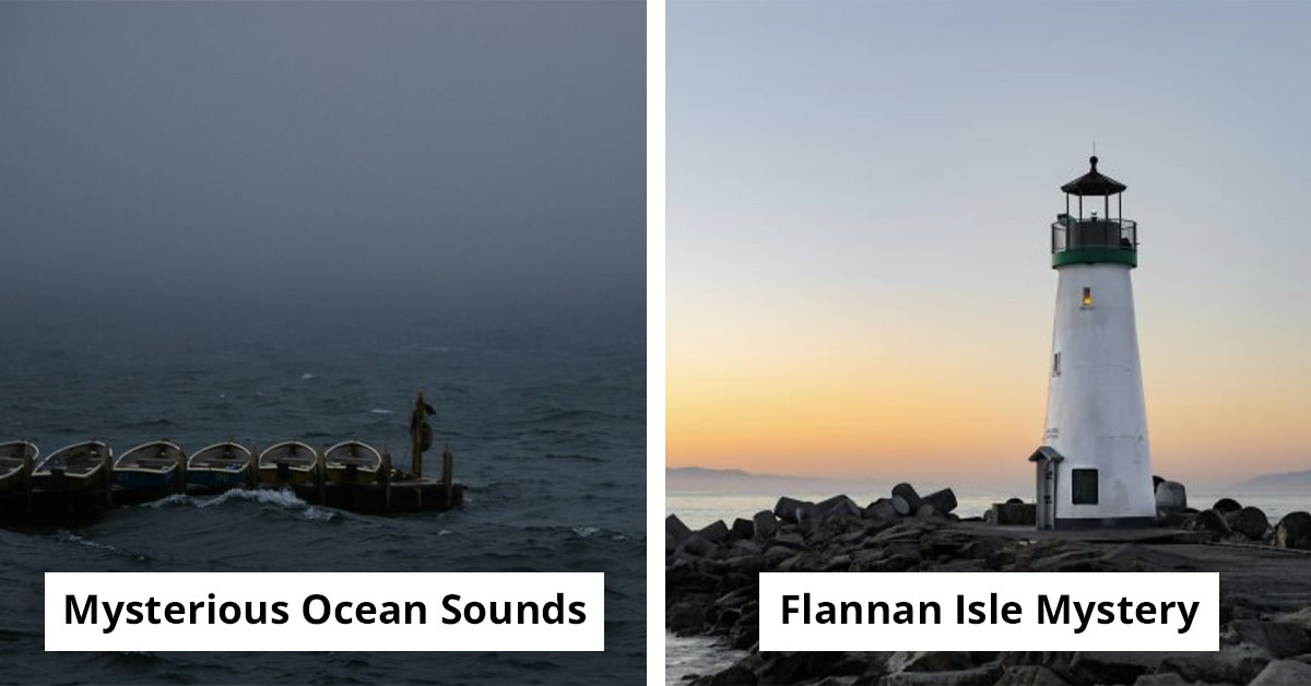 38 Unexpected Things the Ocean Served Up