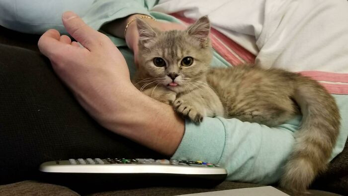 6. Our Brand New Little Girl Blepped In Just 4 Days