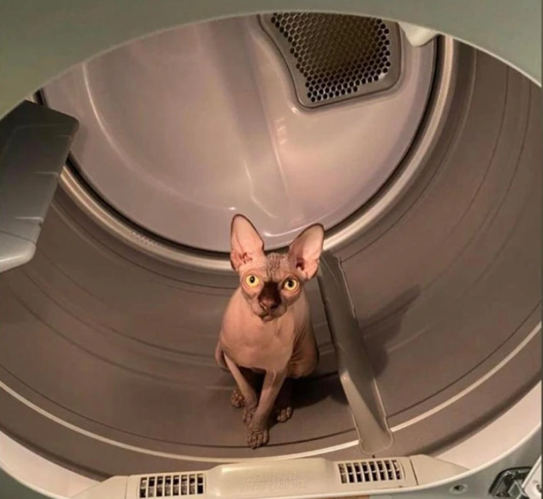 5. "Must Love That Warm Metal."