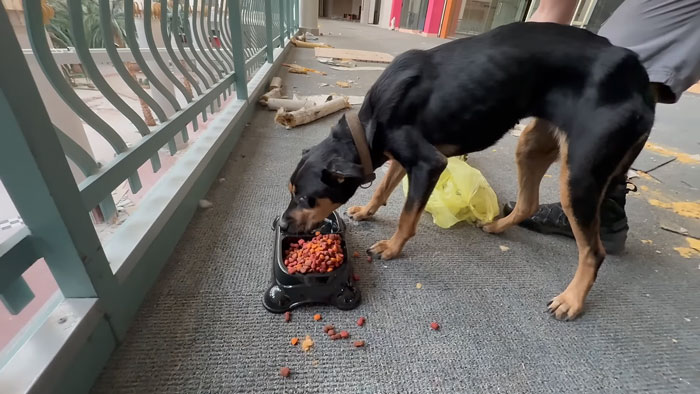 Metro Is Having a Good Meal