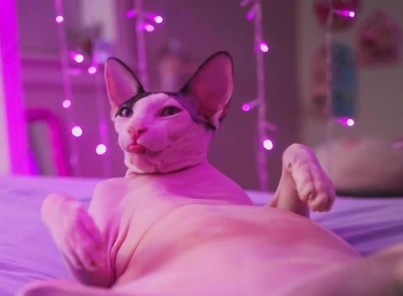 7. "I'm Sexy and I Know It"