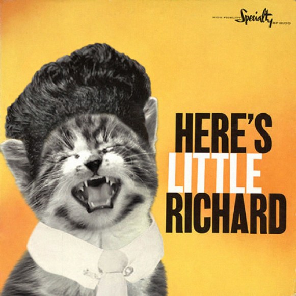 24. Now with a cat: