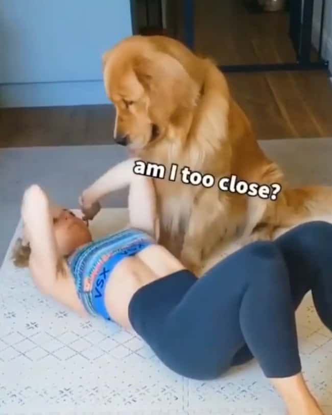 9. When your furry friend wants to join your yoga session but doesn't understand the concept of personal space