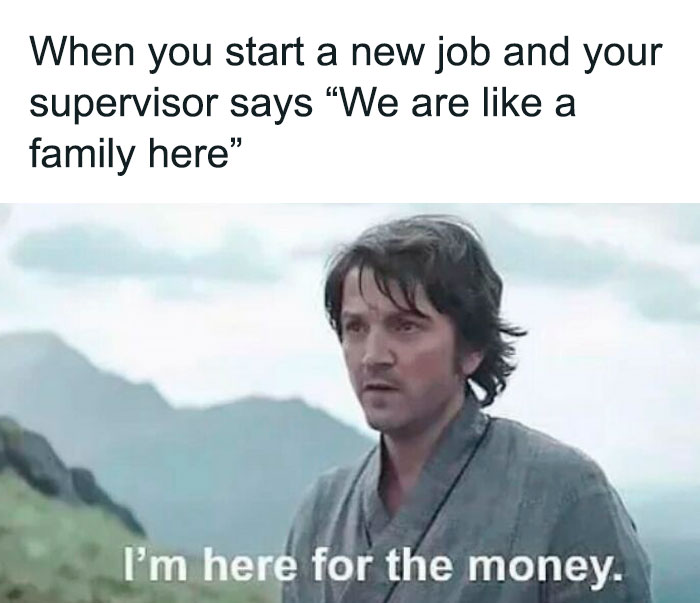 28. A family of what?