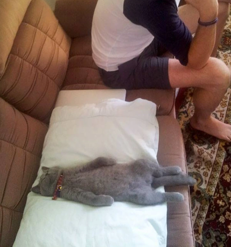 7. "Looks like this little one is aiming for a human-style snooze."