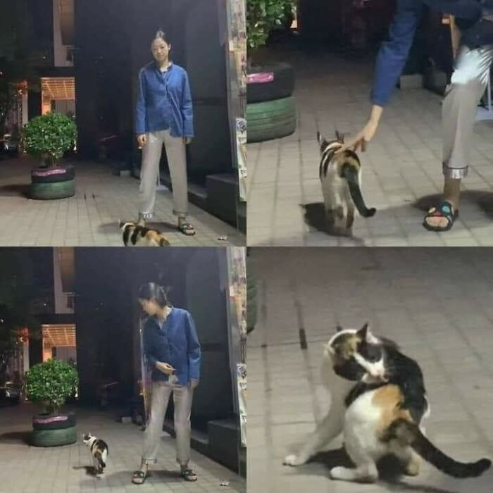 6. What do you think this means?