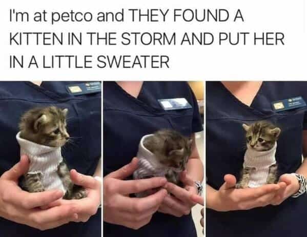 "That’s absolutely adorable."