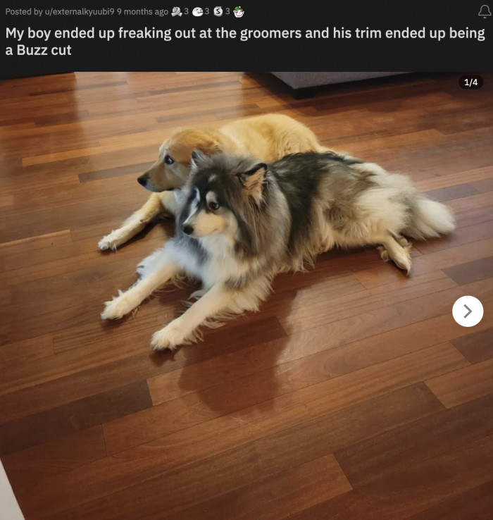 48. If you don't scroll down, the bad haircut won't be real.