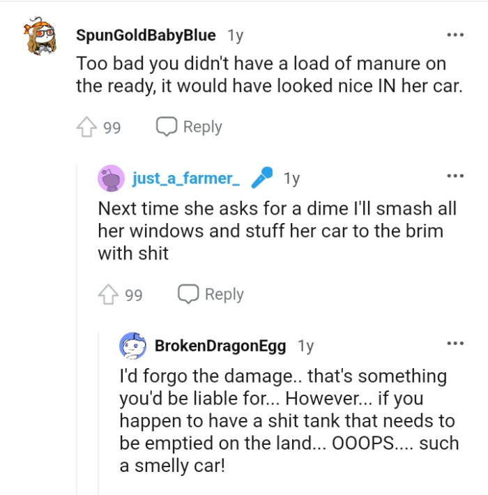 A loaf of manure would have looked nice on her car.