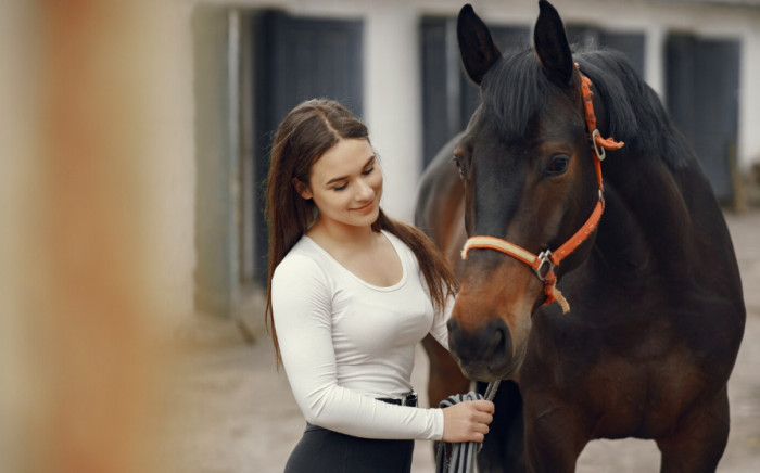 Horse Facts About Their Bodies