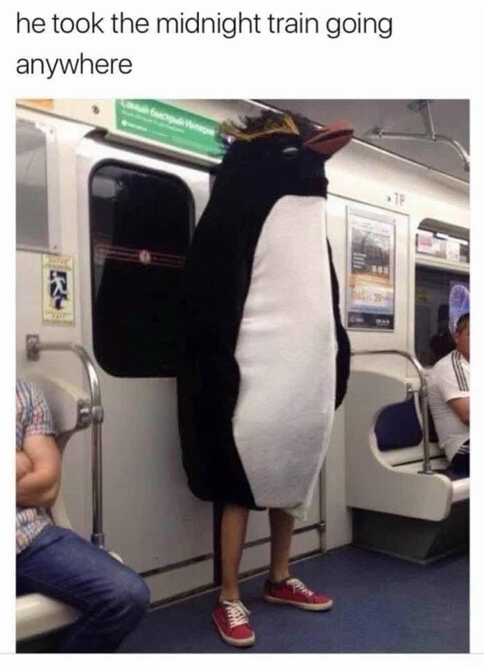 27. He just wants to go away