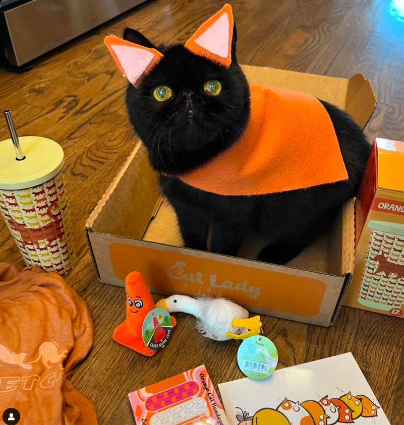 "Willow heard this month’s @catladybox is celebrating orange cats, and she now wants to be called Ginger!! "