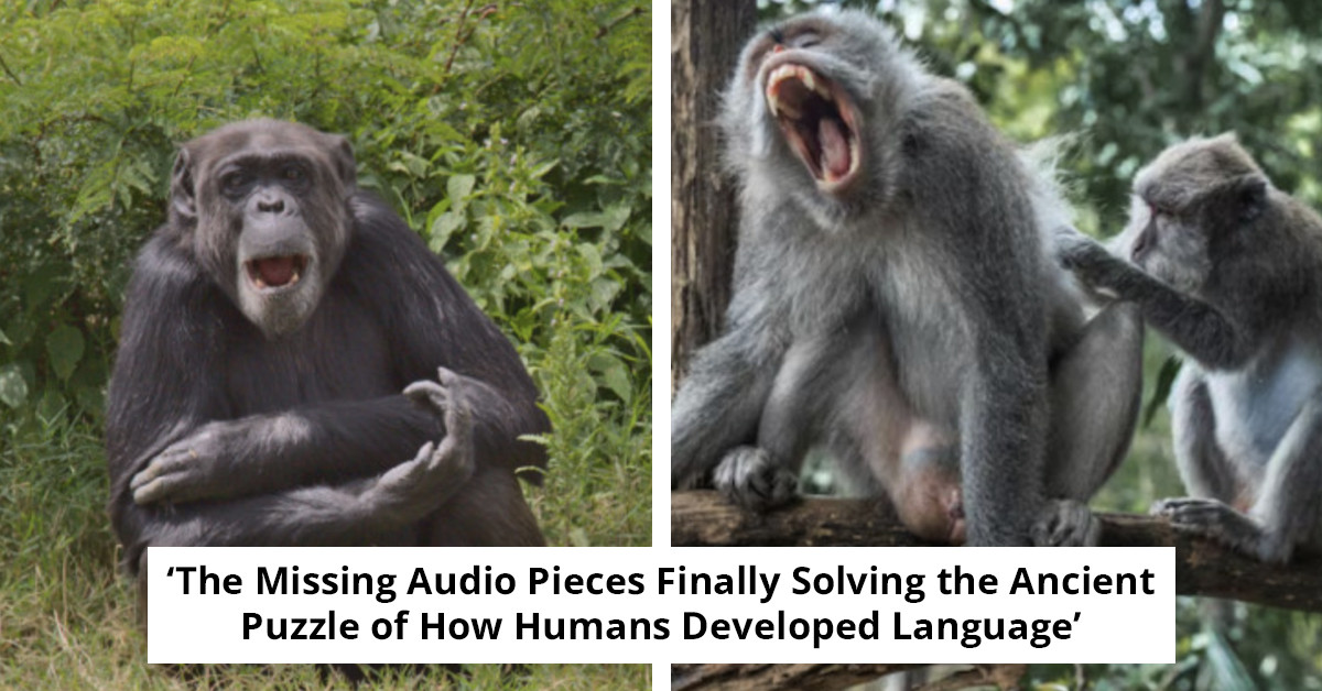 Scientists Discover the Ancient Origin of Human Laughter