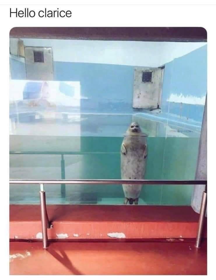 32. I'd take a run for it