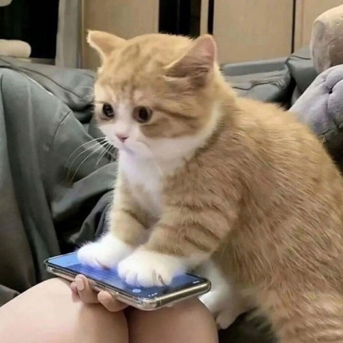 6. Give me the password