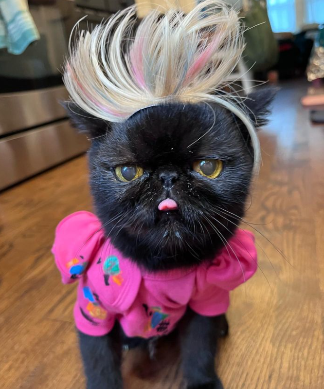 "Hi, I’m Weird Barbie. I'm in the splits, have a funky haircut, and smell like the basement. "