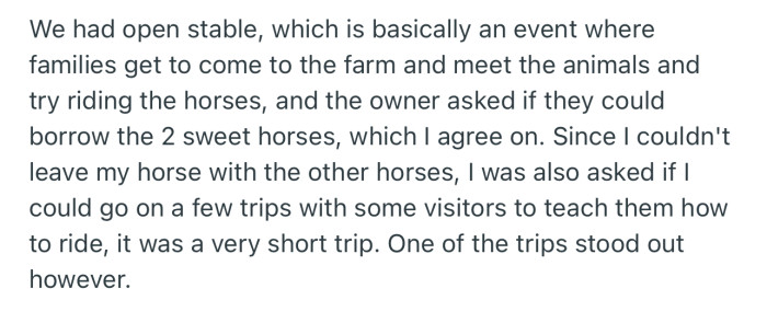 The Farm Organized an Open Stable Where Families Came to Meet the Animals and Have a Little Fun