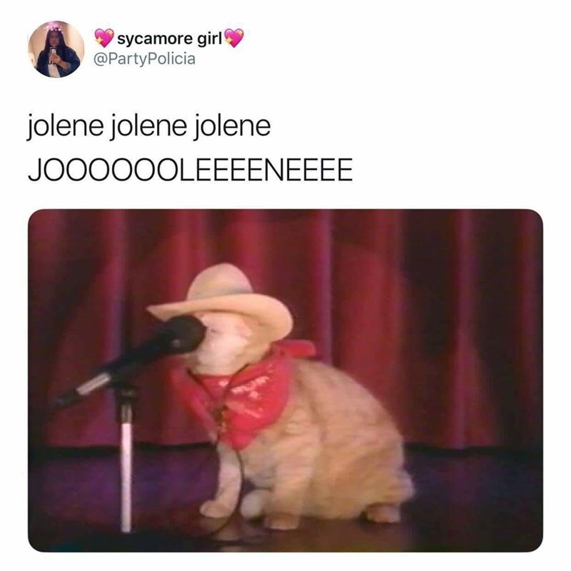 8. Let's head to this concert