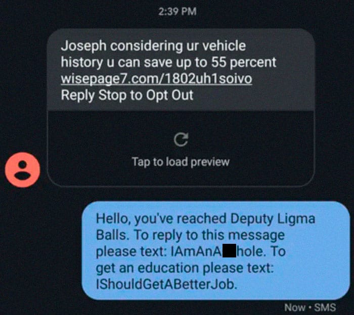 55. "The Person Who Deployed Eighth-Grade Humor To Great Effectiveness"